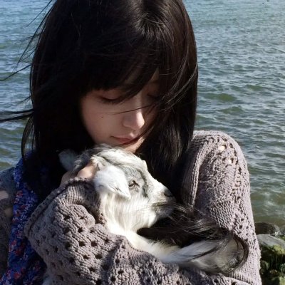 阿里格尔